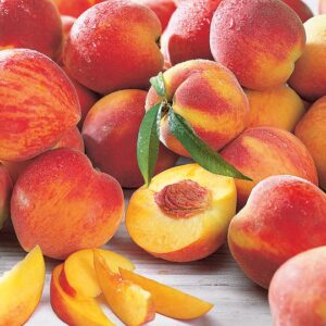 PEACHES YELLOW TP 40