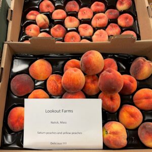 PEACHES WHITE CA 48