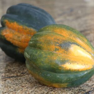 ACORN SQUASH