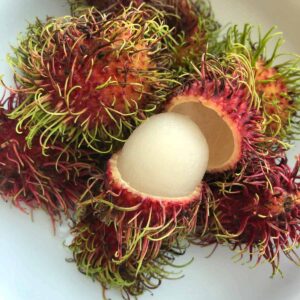 RAMBUTAN