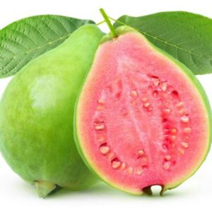 PINK GUAVA