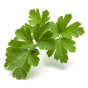 PARSLEY CURLY 60CT